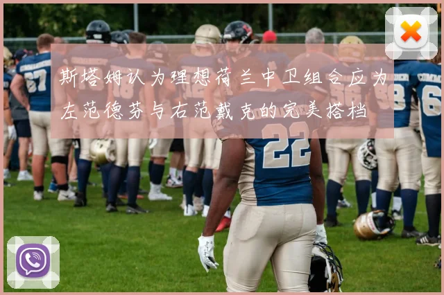 斯塔姆认为理想荷兰中卫组合应为左范德芬与右范戴克的完美搭档